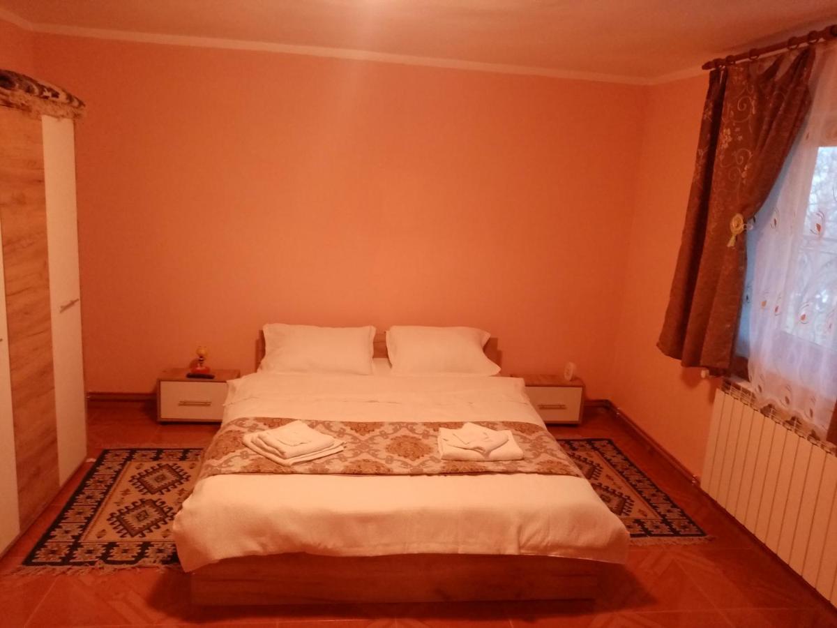 Casa Dana Ξενοδοχείο Borşa Εξωτερικό φωτογραφία